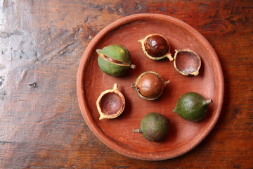 Macadamia Nuts in Guatemala