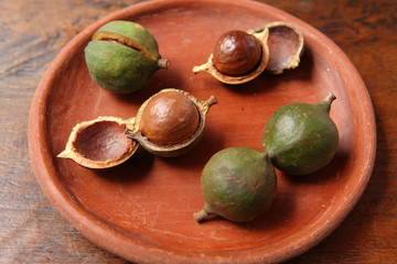 Macadamia Nuts in Guatemala