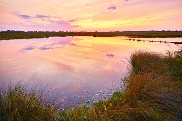 Sonnenuntergang im Hiller Moor