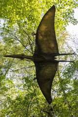 Pteranodon - flying lizard in the woods. © lapis2380
