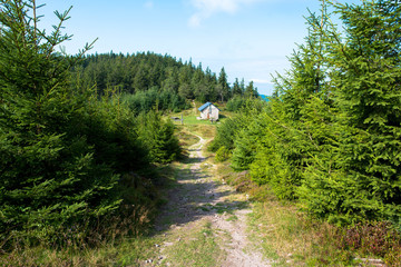 Fototapeta na wymiar Gipfelweg zum Grand Brezouard in den Vogesen