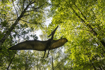Pteranodon - flying lizard in the woods. © lapis2380
