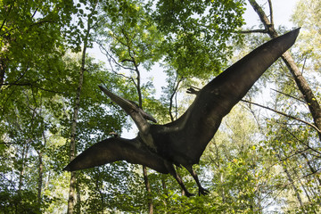 Pteranodon - flying lizard in the woods. © lapis2380