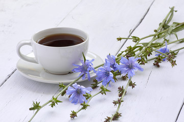 Cup of coffee tea chicory drink with chicory flower on a white table