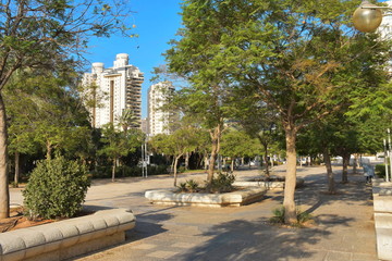 Nice green park in the middle of the city Israel