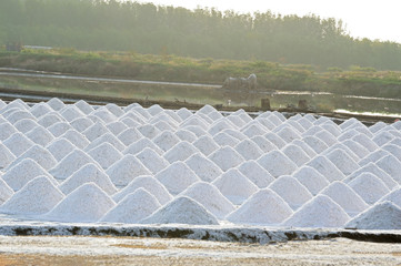 Raw salt or pile of salt from natural in farm at Phetchaburi province,Thailand