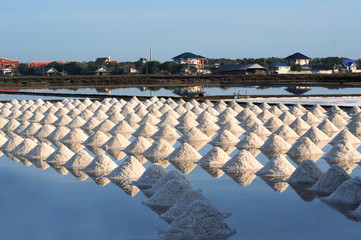 Raw salt or pile of salt from natural in farm at Phetchaburi province,Thailand