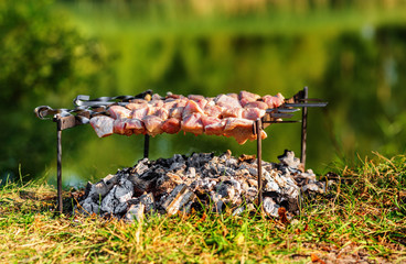 Pork shashlik on skewers