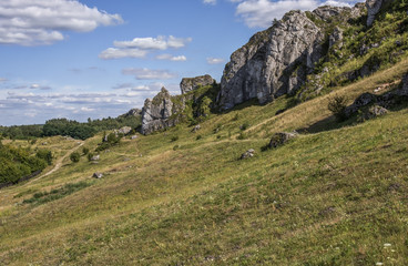 Obraz premium Jurassic Landscape near Olsztyn Castle near Czestochowa