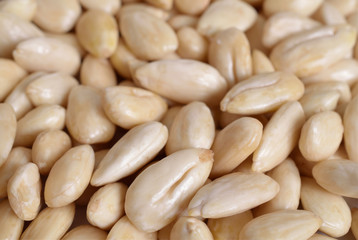 Blanched almonds I