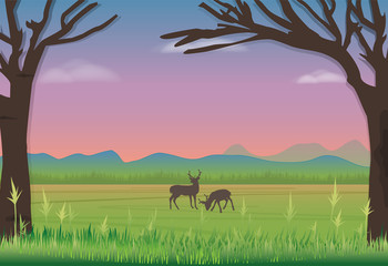 Deer standing in meadow. Nature landscape background