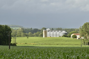 Fototapeta na wymiar Eclaircie sur les silos à grains au milieu des champs de maïs et des bois avant l'arrivée d'un orage, au Périgord Vert