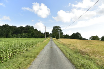 Fototapeta na wymiar Petite route de campagne vers un bois près de Champagne , au Périgord Vert 