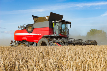 Fototapeta na wymiar Combine harvester on the grain field - 6717