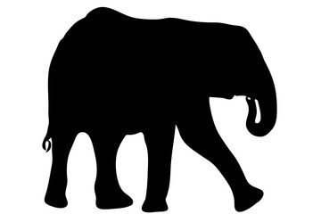 View on the silhouette of an african elephant - digitally hand drawn vector illustration