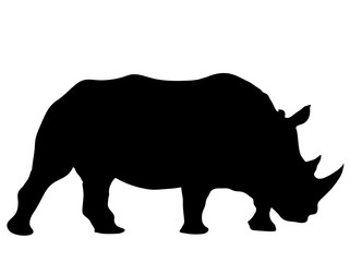 Naklejka premium View on the silhouettes of a rhinoceros - digitally hand drawn vector illustraion