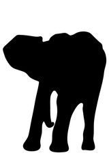 View on the silhouette of an african elephant - digitally hand drawn vector illustraion