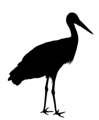 Stork vector silhouette illustration isolated on white background.
