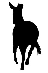 View on the silhouette of a moving zebra - digitally hand drawn vector illustraion