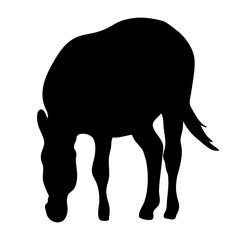 View on the silhouette of a zebra - digitally hand drawn vector illustraion