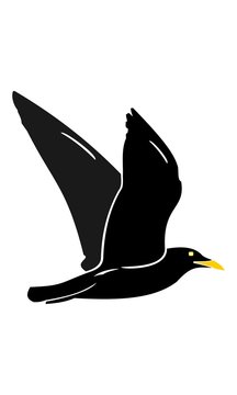 Picture of the flying bird silhouette