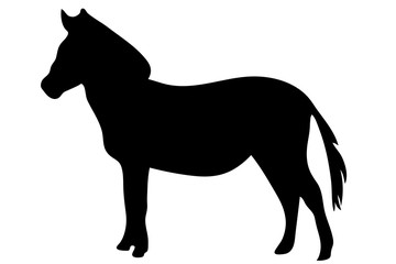 Obraz premium View on the silhouette of a Zebra - digitally hand drawn vector illustraion