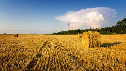стога сена в сельском поле осенью, Россия, Урал 