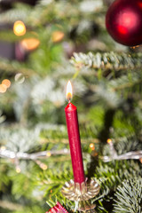burning red candle at the christmas tree