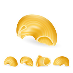 pasta lumache rigate, realistic vector illustration