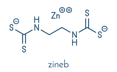 Zineb zinc organosulfur fungicide molecule. Skeletal formula.
