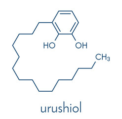 Urushiol poison ivy allergen molecule. Also present in poison oak, lacquer tree and poison sumac. Urushiol is a mixture of closely related components, only one of which is shown. Skeletal formula.