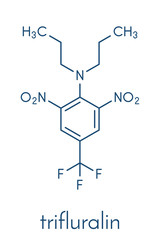 Trifluralin herbicide molecule. Skeletal formula.