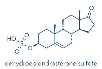 Dehydroepiandrosterone sulfate (DHEA-S) natural hormone molecule. Skeletal formula.