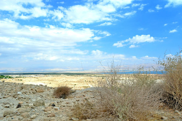  Salted ground in Judean Desert near the Dead Sea. Israel