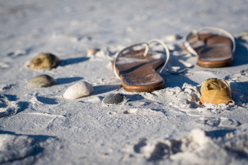 Sandals and Seashells at the Beach