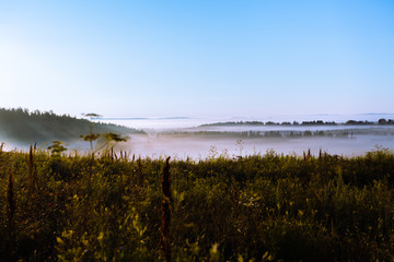 Fototapeta na wymiar The May field in the sun and the fog