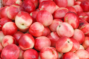 bright nectarines in the market