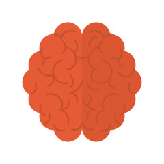 human brain topview  icon image vector illustration design 