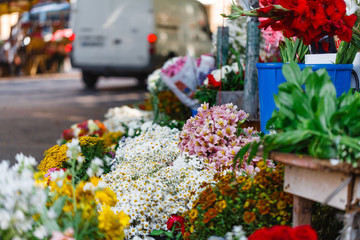 Outdoor flower market