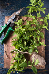 Fresh Mint on a Cutting Board
