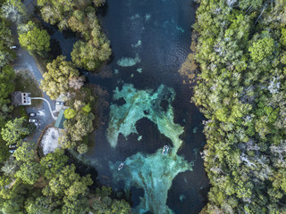 Springs in Florida