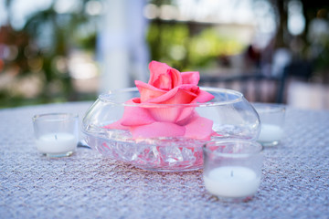 Flower Petals in Water