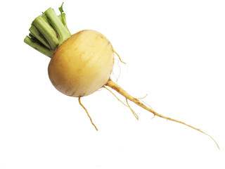 Raw turnip with leaves