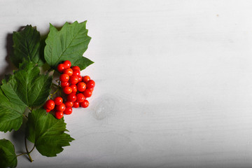 Berry on wood 