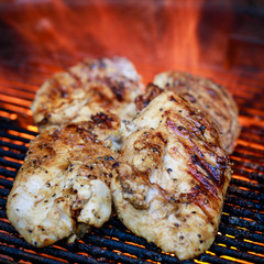 Chicken Breasts on a Grill