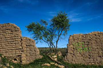 Obraz premium Paisaje de talpa