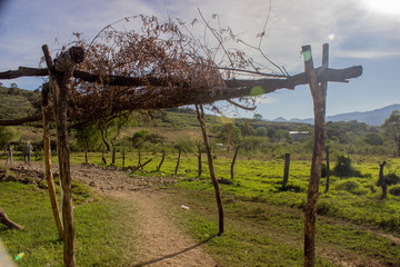 Paisaje de talpa