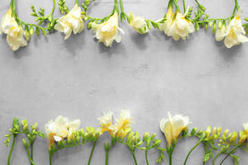Beautiful composition with fresh freesia on grey background