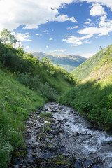 Mountainside Stream