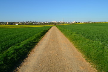 Chemin agricole aux abords de Caen (Calvados - Normandie)